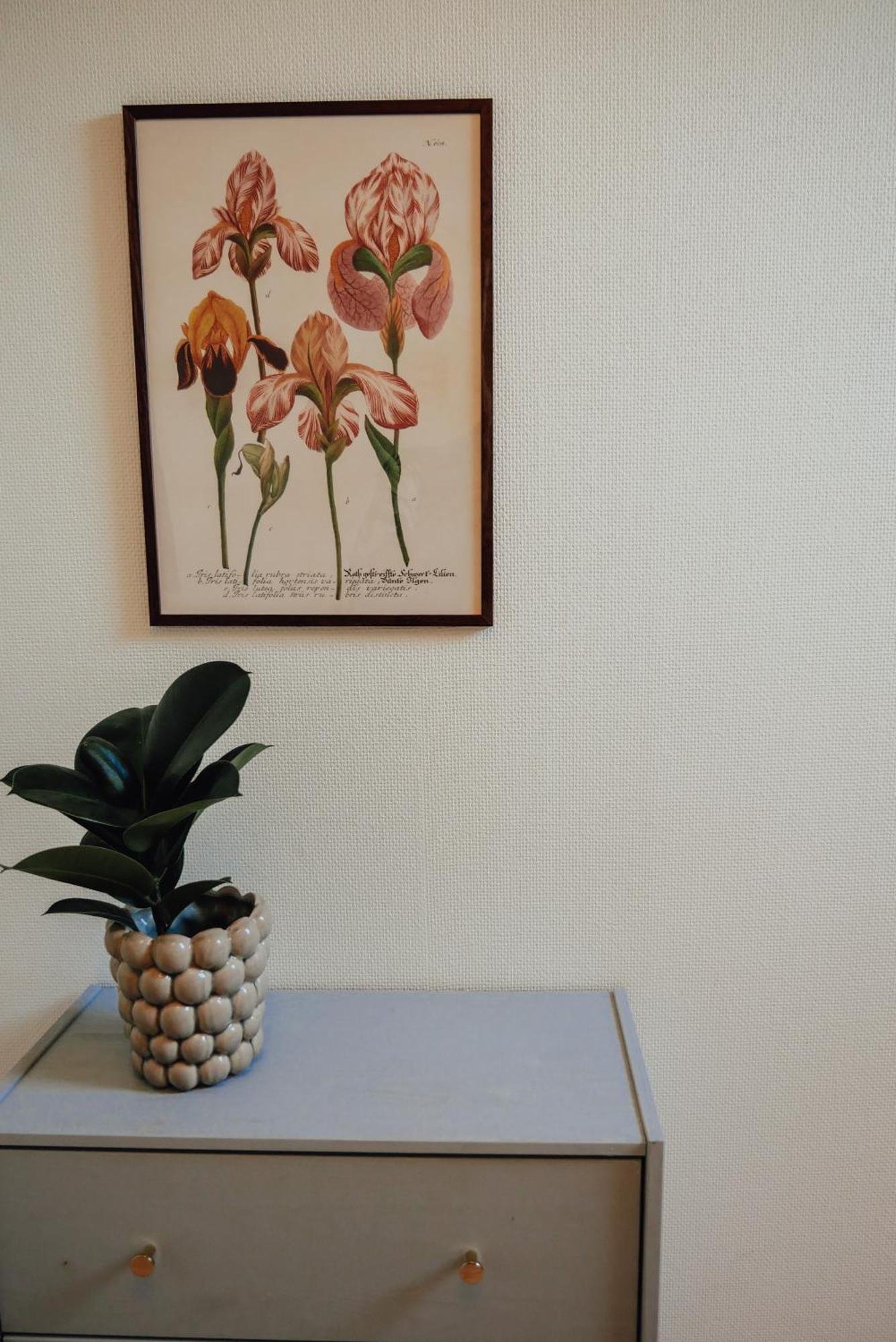 Aespoegarden Bed & Breakfast Klagstorp Esterno foto
