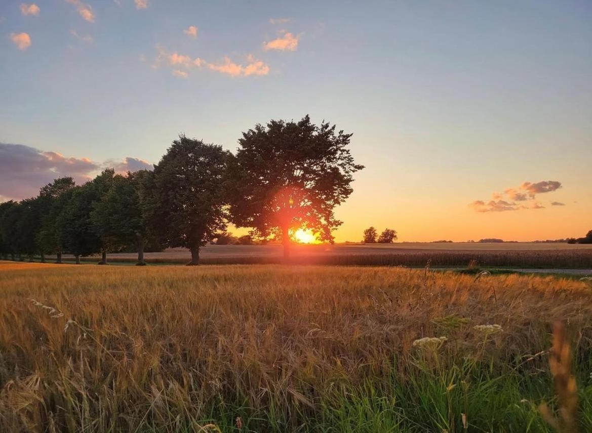 Aespoegarden Bed & Breakfast Klagstorp Esterno foto